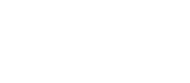 Hunianhoki